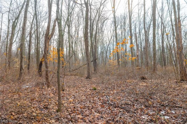 7389 Doylestown Road, Sterling, OH 44276