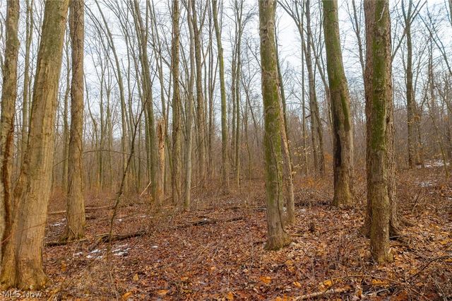 7389 Doylestown Road, Sterling, OH 44276