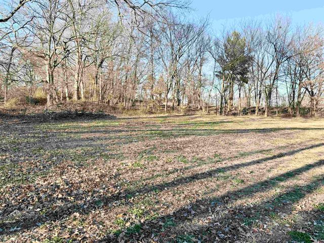 250 MCDOW LN, Covington, TN 38019