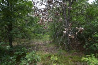 4 Darcy Drive, Vian, OK 74962