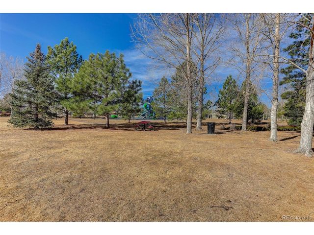 12972 Banyon Cir, Parker, CO 80134