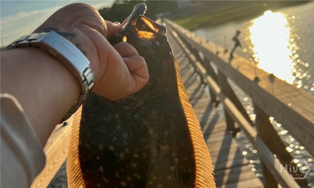 90 calhoun plantation Road, Okatie, SC 29909