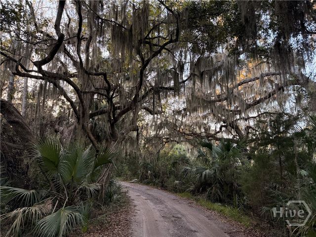 90 calhoun plantation Road, Okatie, SC 29909