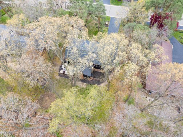 6464 Deer Ridge Drive, Independence Charter Township, MI 48348