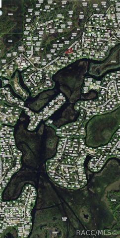 4381 E Shorewood Drive, Hernando, FL 34442