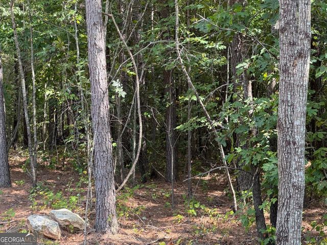 0 Lone Bear Path, Dallas, GA 30132
