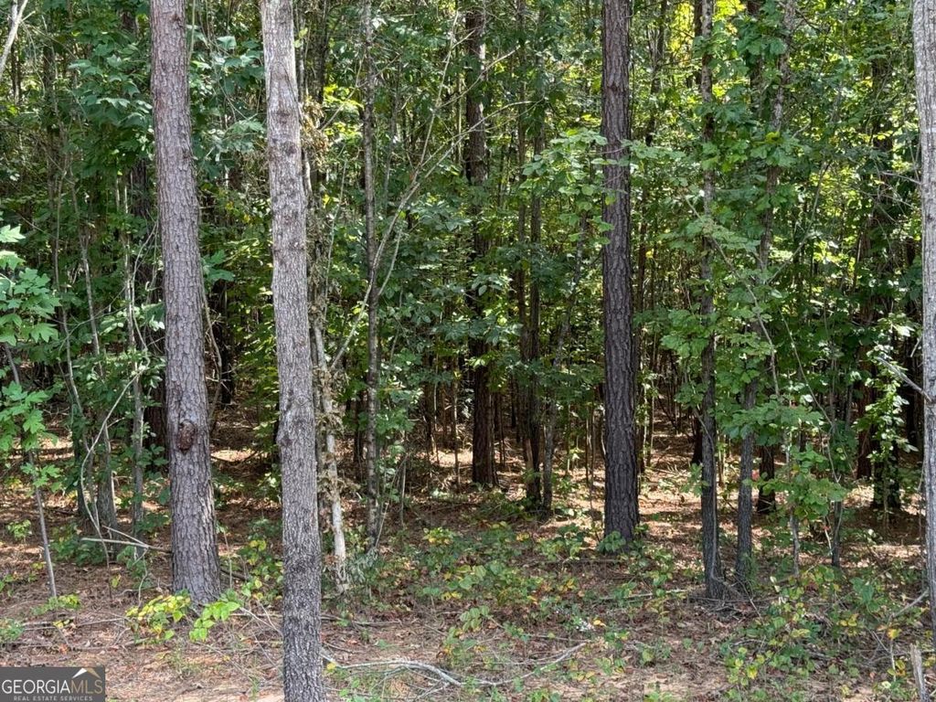 0 Lone Bear Path, Dallas, GA 30132