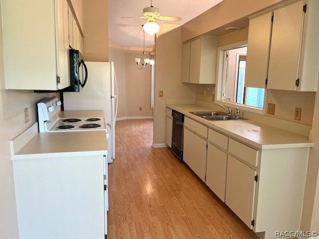 3884 N Blazingstar Way, Beverly Hills, FL 34465