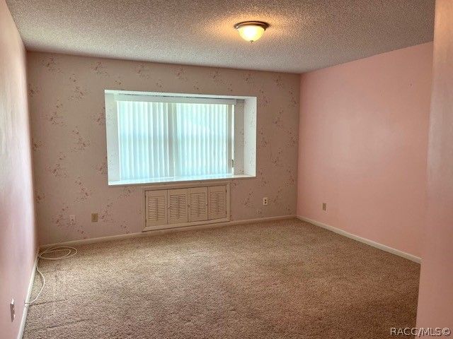 3884 N Blazingstar Way, Beverly Hills, FL 34465