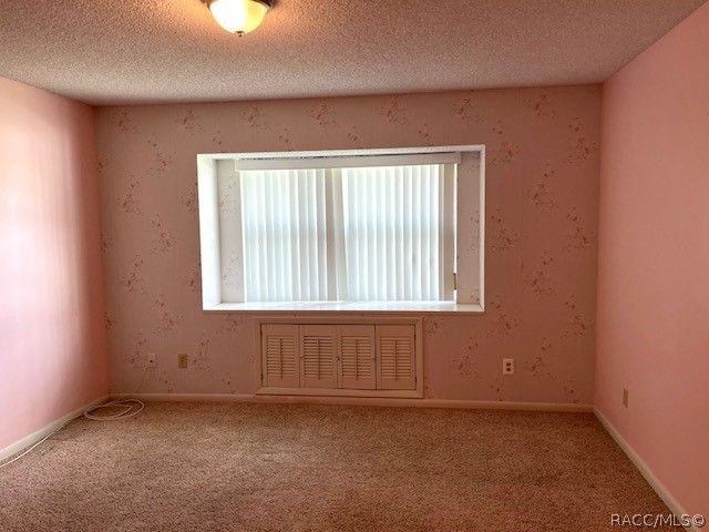 3884 N Blazingstar Way, Beverly Hills, FL 34465