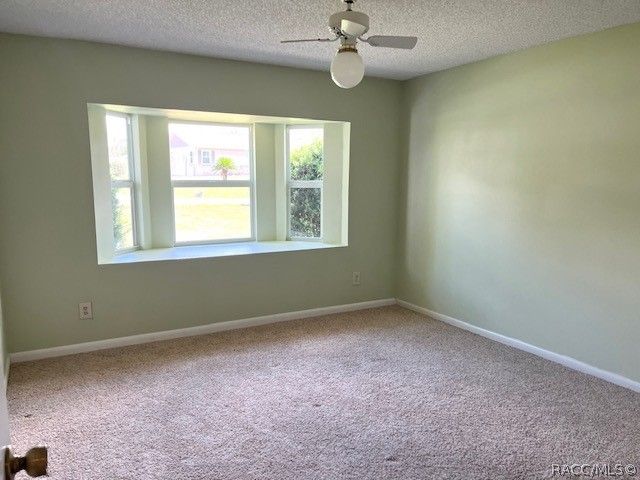 3884 N Blazingstar Way, Beverly Hills, FL 34465