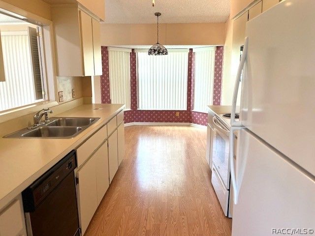 3884 N Blazingstar Way, Beverly Hills, FL 34465