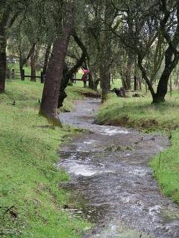 4460 Fawn St, Shingle Springs, CA 95682