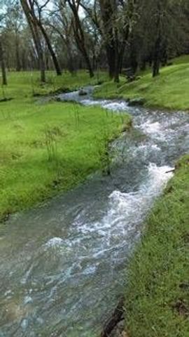 4460 Fawn St, Shingle Springs, CA 95682