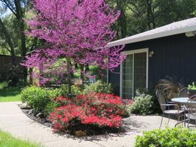 4460 Fawn St, Shingle Springs, CA 95682