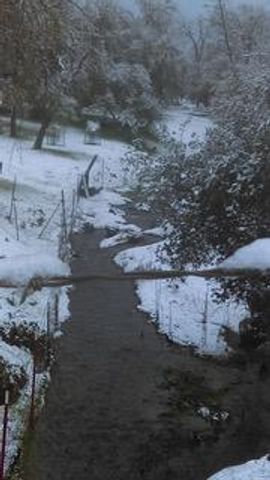 4460 Fawn St, Shingle Springs, CA 95682