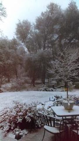 4460 Fawn St, Shingle Springs, CA 95682