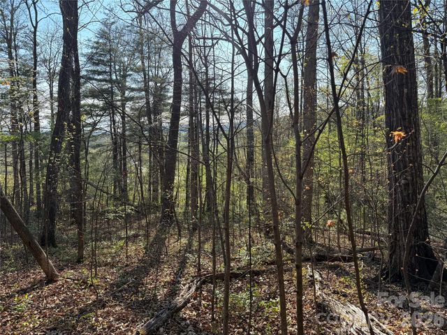 000 Woodlyn Etch Drive, Hendersonville, NC 28792