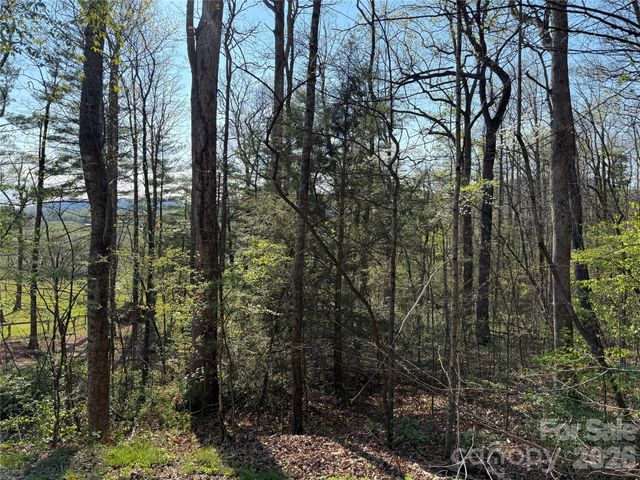 000 Woodlyn Etch Drive, Hendersonville, NC 28792
