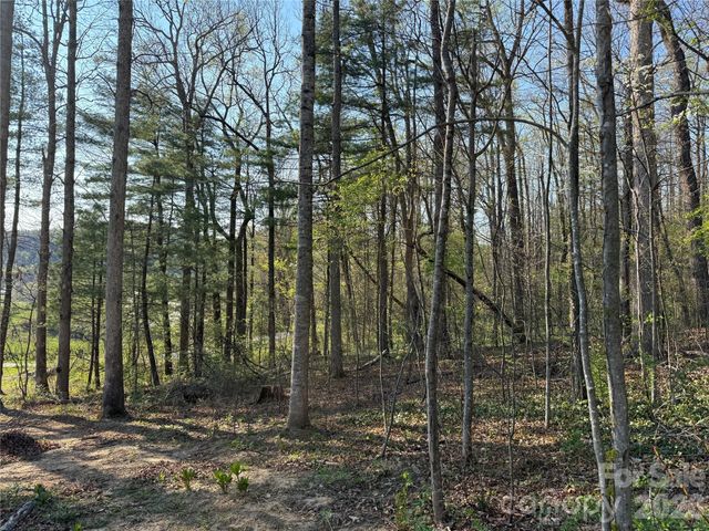 000 Woodlyn Etch Drive, Hendersonville, NC 28792