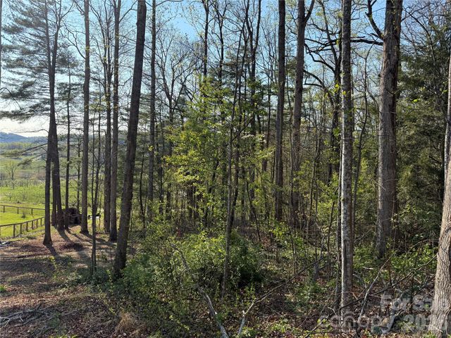 000 Woodlyn Etch Drive, Hendersonville, NC 28792