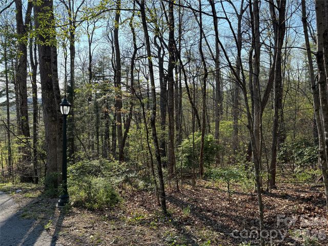 000 Woodlyn Etch Drive, Hendersonville, NC 28792