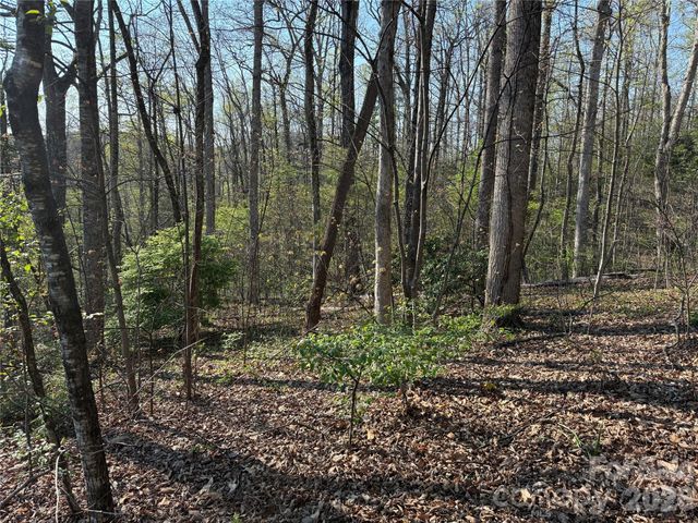 000 Woodlyn Etch Drive, Hendersonville, NC 28792