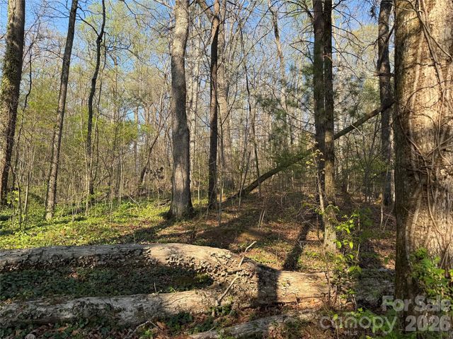 000 Woodlyn Etch Drive, Hendersonville, NC 28792