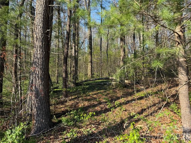 000 Woodlyn Etch Drive, Hendersonville, NC 28792