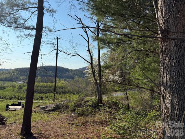 000 Woodlyn Etch Drive, Hendersonville, NC 28792