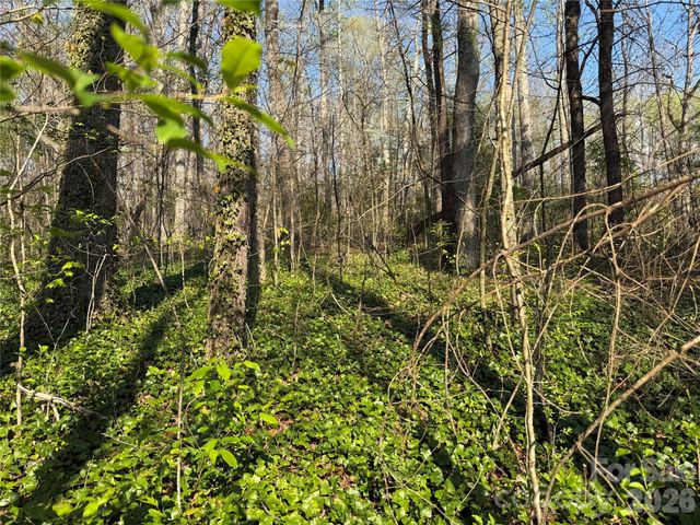 000 Woodlyn Etch Drive, Hendersonville, NC 28792