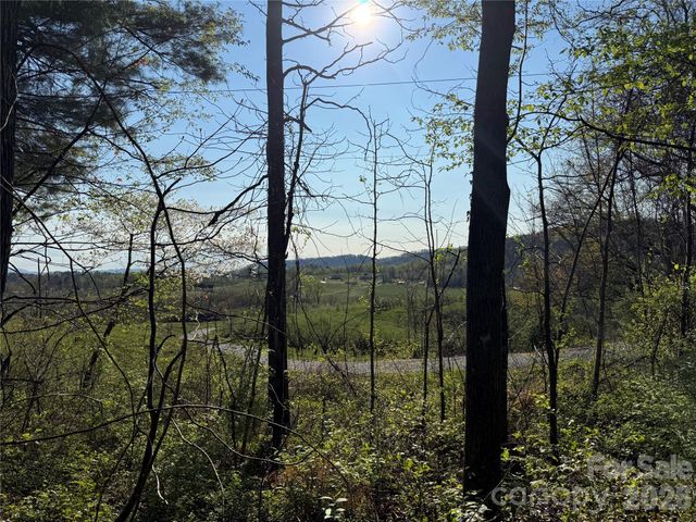 000 Woodlyn Etch Drive, Hendersonville, NC 28792