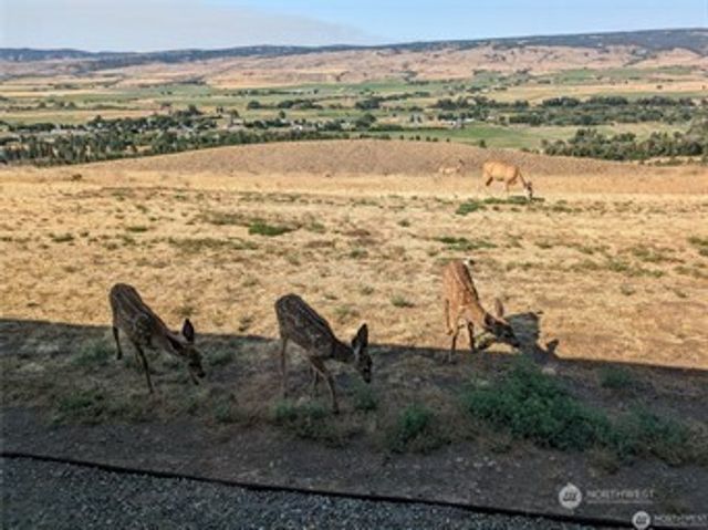 1561 Bitterbrush Drive, Ellensburg, WA 98926