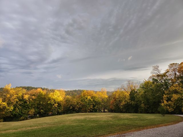 1644 W Blue Creek Rd, Waverly, TN 37185