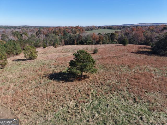 501 Raleigh Road, Woodbury, GA 30293