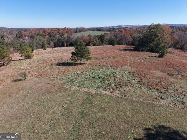 501 Raleigh Road, Woodbury, GA 30293