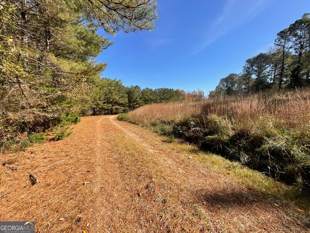 501 Raleigh Road, Woodbury, GA 30293