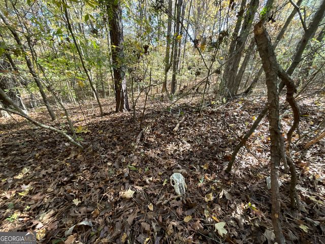 501 Raleigh Road, Woodbury, GA 30293