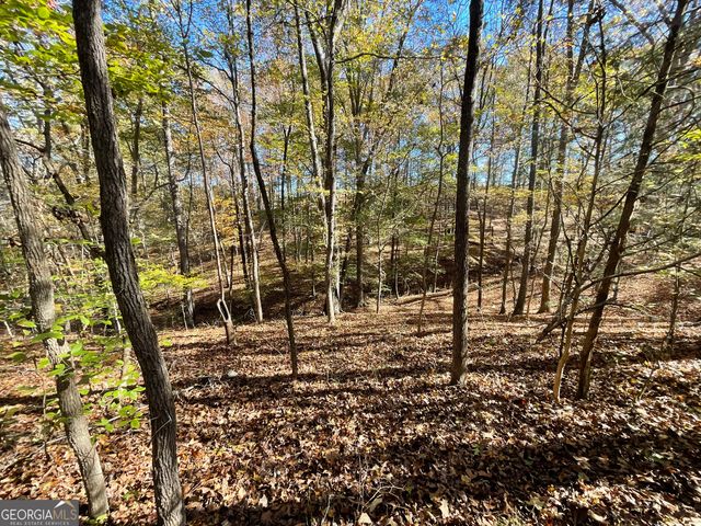 501 Raleigh Road, Woodbury, GA 30293