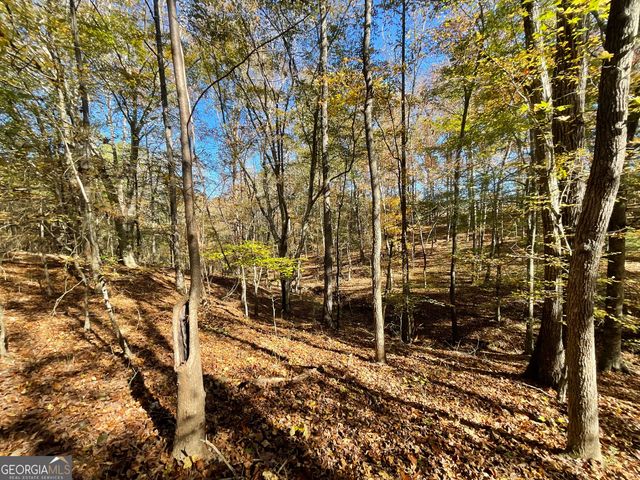 501 Raleigh Road, Woodbury, GA 30293