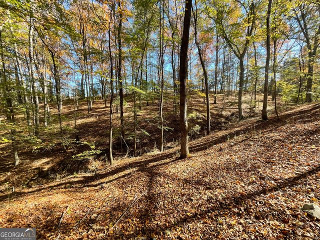 501 Raleigh Road, Woodbury, GA 30293