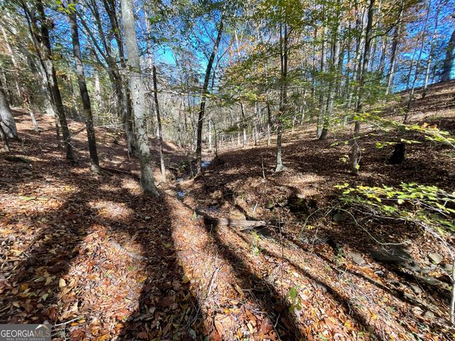 501 Raleigh Road, Woodbury, GA 30293