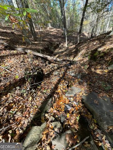 501 Raleigh Road, Woodbury, GA 30293