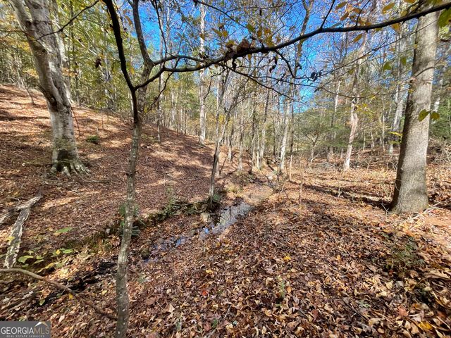 501 Raleigh Road, Woodbury, GA 30293