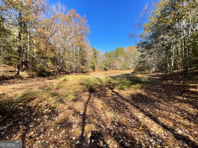 501 Raleigh Road, Woodbury, GA 30293