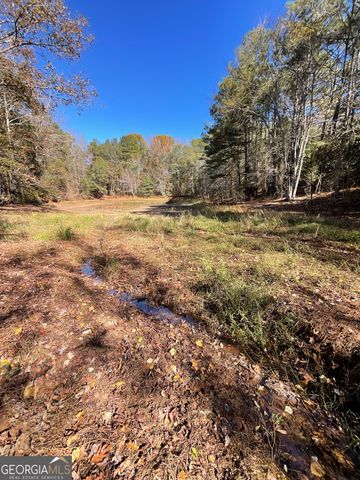 501 Raleigh Road, Woodbury, GA 30293