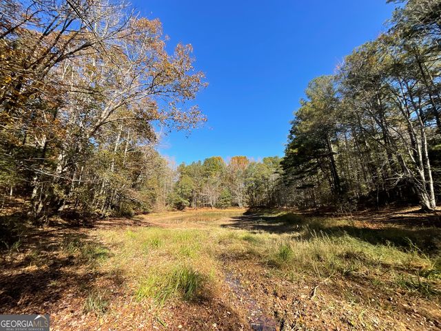 501 Raleigh Road, Woodbury, GA 30293