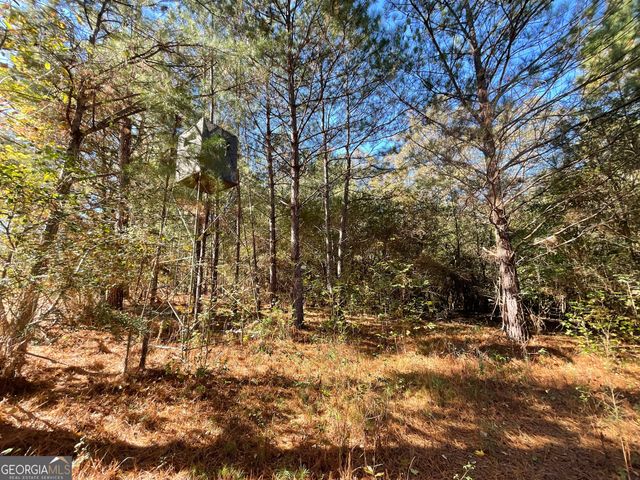 501 Raleigh Road, Woodbury, GA 30293