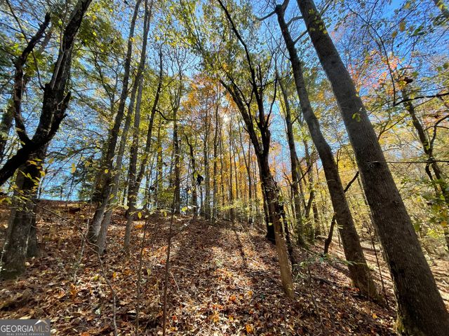 501 Raleigh Road, Woodbury, GA 30293