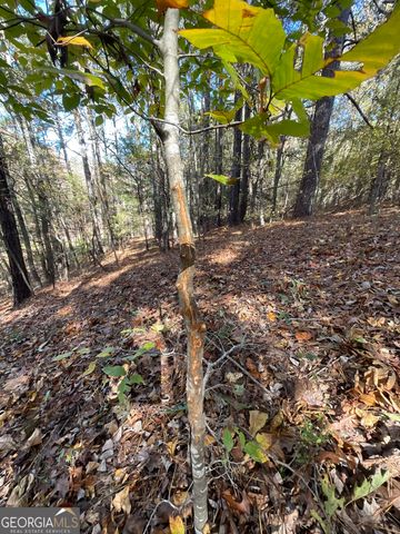 501 Raleigh Road, Woodbury, GA 30293